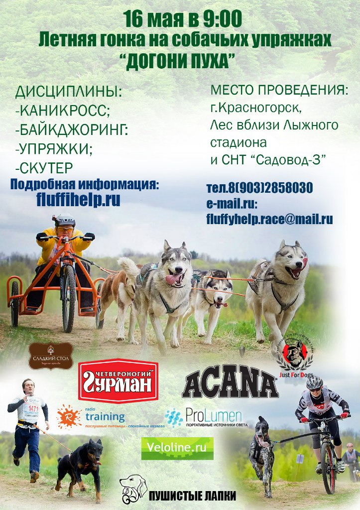 ������� ����